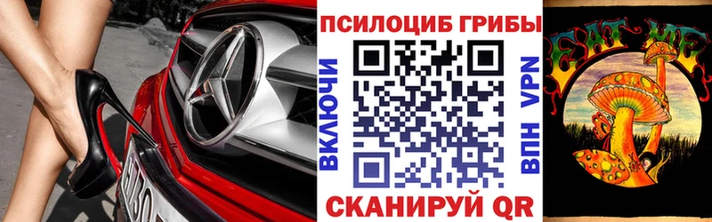 купить наркоту  Дмитровск  Псилоцибиновые грибы мицелий 